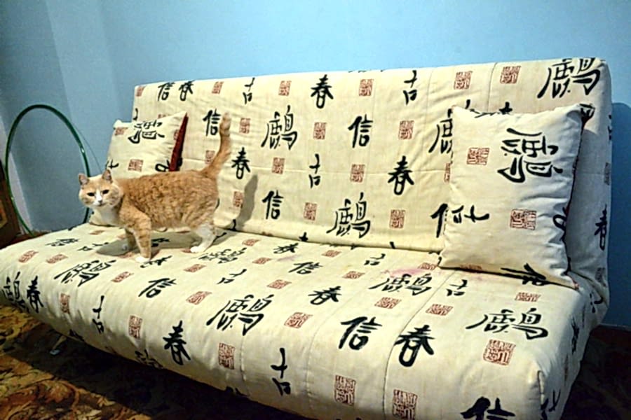 Грязный чехол от дивана Грязный чехол от дивана