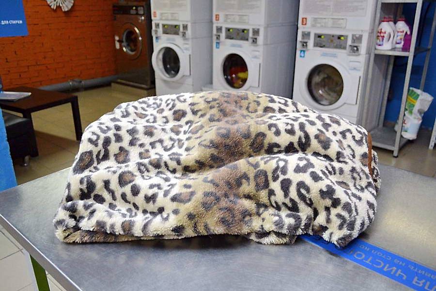 Как стирать плед в Алматы? Как стирать плед в Алматы?