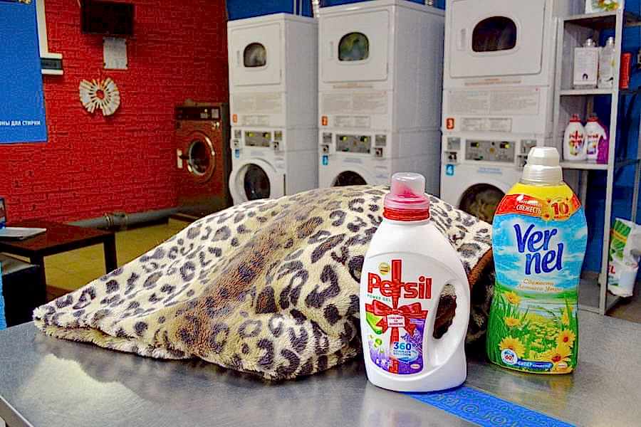Выбор моющего средства для стирки пледа в Алматы